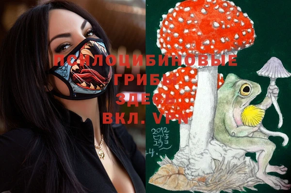 ПСИЛОЦИБИНОВЫЕ ГРИБЫ Алексин