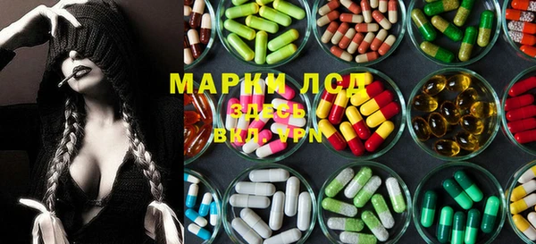 ПСИЛОЦИБИНОВЫЕ ГРИБЫ Алексин