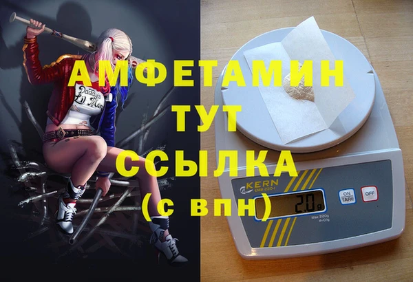 ПСИЛОЦИБИНОВЫЕ ГРИБЫ Алексин