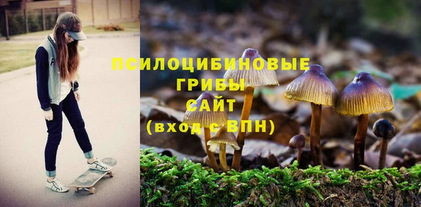 ПСИЛОЦИБИНОВЫЕ ГРИБЫ Алексин