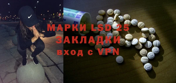 ПСИЛОЦИБИНОВЫЕ ГРИБЫ Алексин